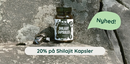 Shilajit kapsler